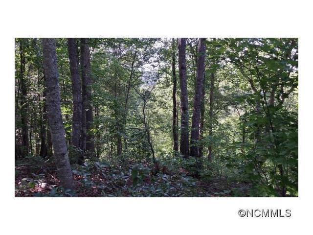 Lot 5 S. Cross Creek Trail - Photo 1