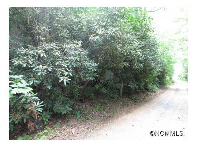 0 Henderson Blvd/Pinnacle Mtn Rd Road - Photo 1