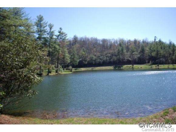 lot 9 Marshall Lake Road - Photo 1