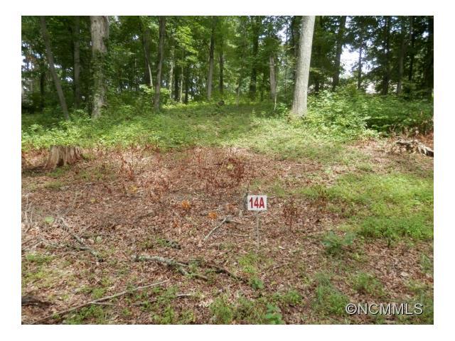 14 A Maple Grove Church Road - Photo 1
