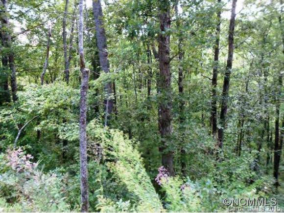 0 Spy Pointe Lane - Photo 1