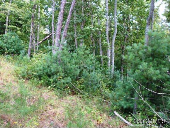 0 Spy Pointe Lane - Photo 1