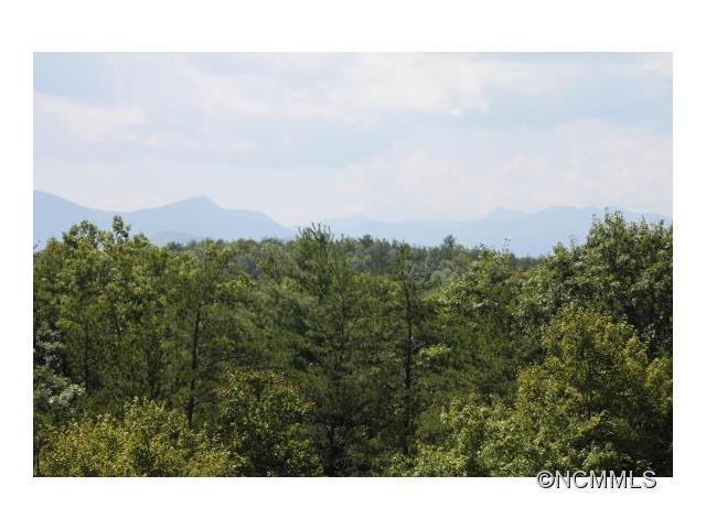 1411 Pisgah Preserve Dr - Photo 1