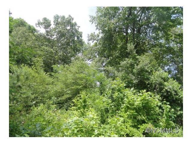 00 Everidge Dr Drive - Photo 1