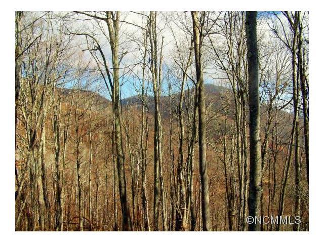 lot 8 Tater Patch Road - Photo 1