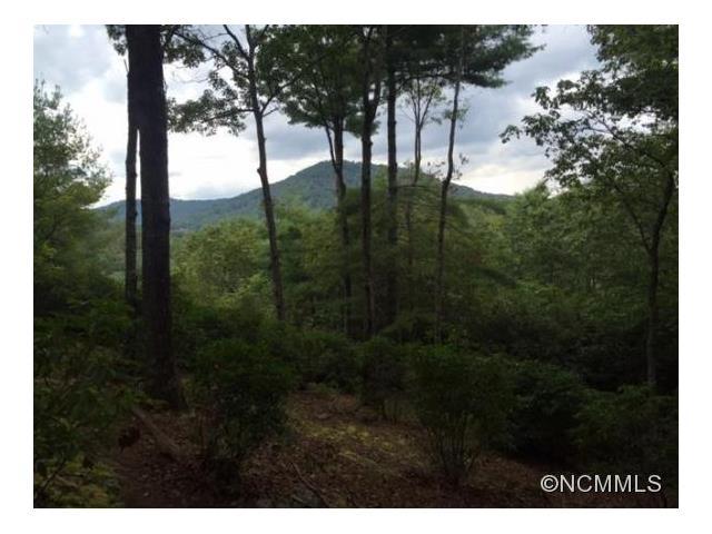 81 Misty Valley Parkway - Photo 1