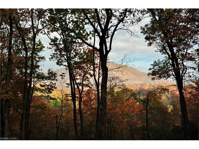 105 Misty Valley Parkway - Photo 1