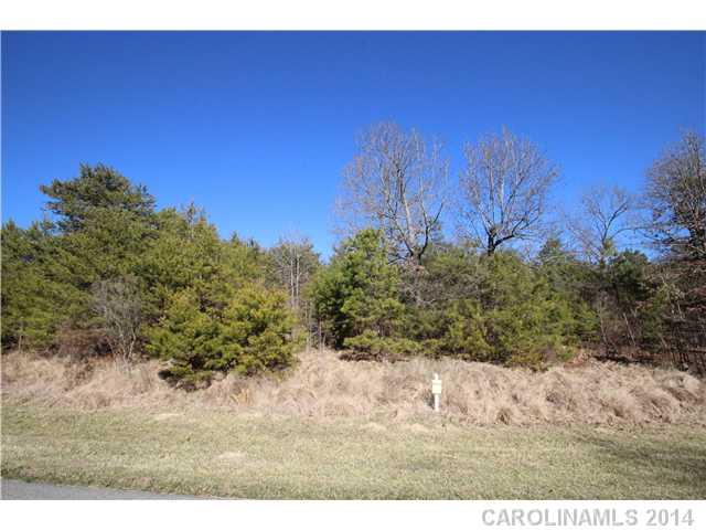 150 Mallard Drive - Photo 1