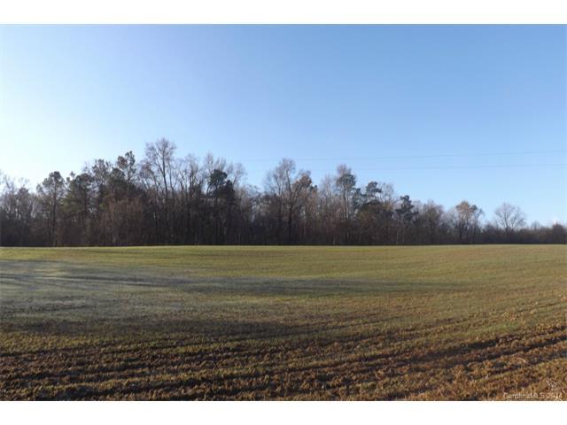 0000 White Store Road - Photo 1