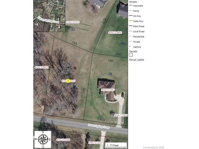 304 Seven Springs Loop - Photo 1