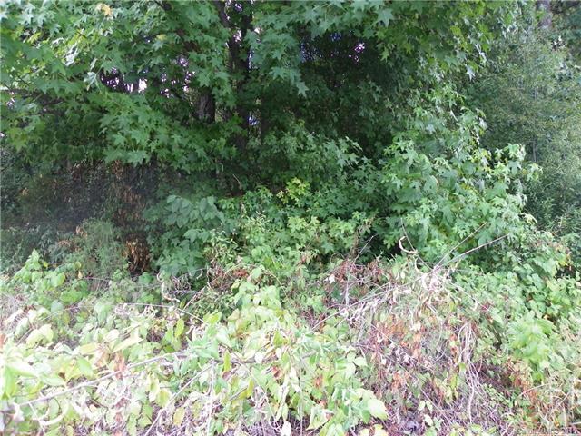 00000 Pine Hill Lane - Photo 1