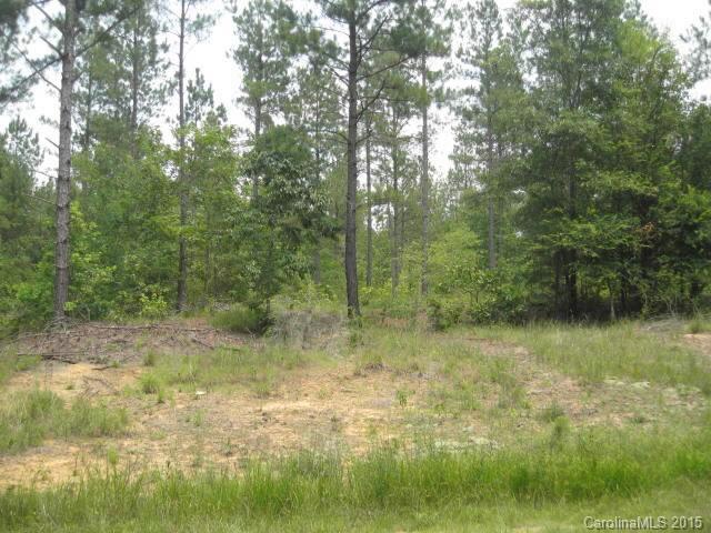 00 Austin Road - Photo 1
