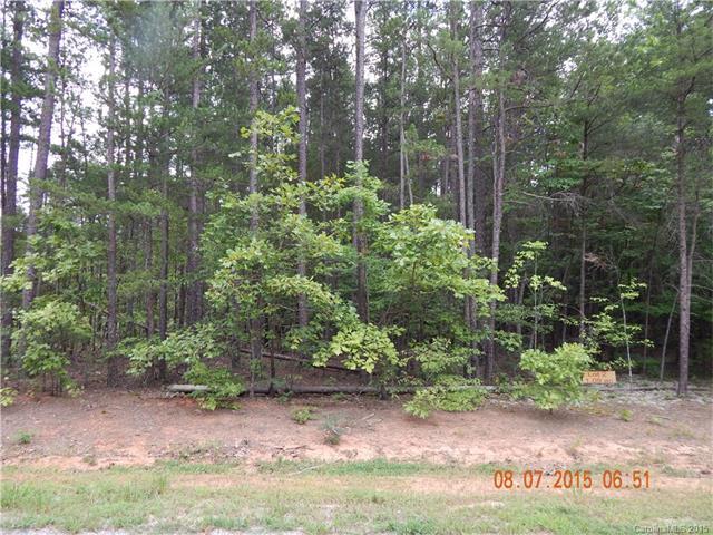 002 Pipeline Road - Photo 1