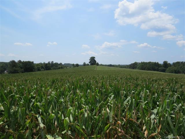 739 Mountain View Road - Photo 1