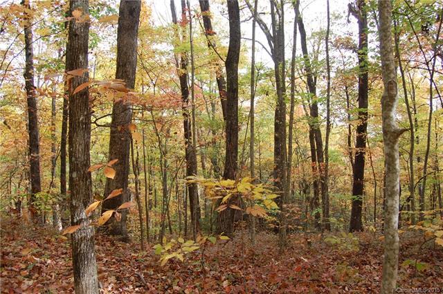 19 Whetstone Gap Road - Photo 1 19 Whetstone Gap Road - Photo 1
