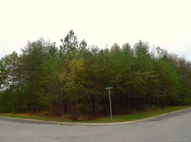1569 Braxton Gate Drive - Photo 1