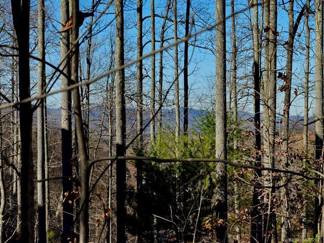 2314 Pommel Road - Photo 1