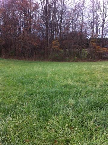 Lot 21 New Salem Road - Photo 1