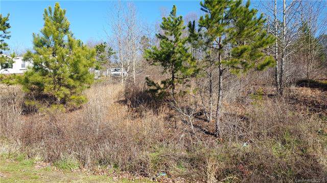 4528 Red Apple Drive - Photo 1