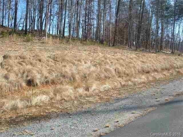 Lot 398 Cinnamon Ridge - Photo 1