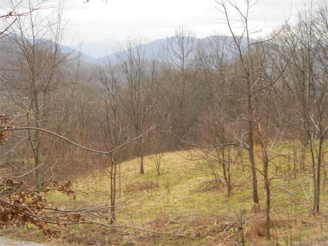 Lot 6 Mosey Mountain Lane - Photo 1