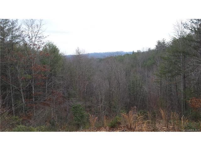 Lot 9 Woods Road - Photo 1