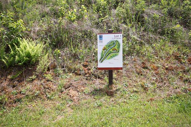 463 Patton Mountain Road - Photo 1
