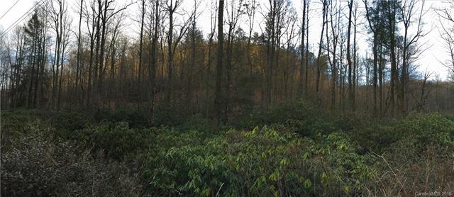 TBD Frozen Creek Road - Photo 1