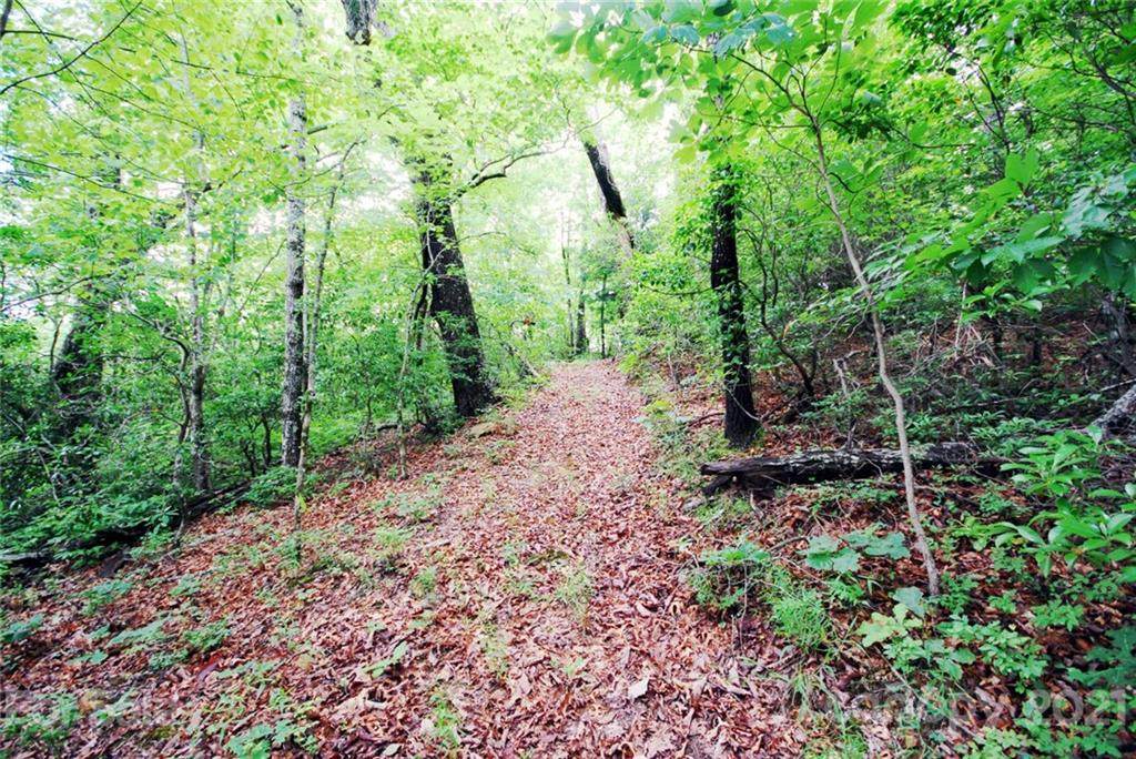 888 Kelly Mountain Road - Photo 1