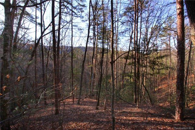 Lot 49 Round Mountain Road - Photo 1