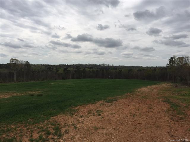 000 Firetower Road - Photo 1