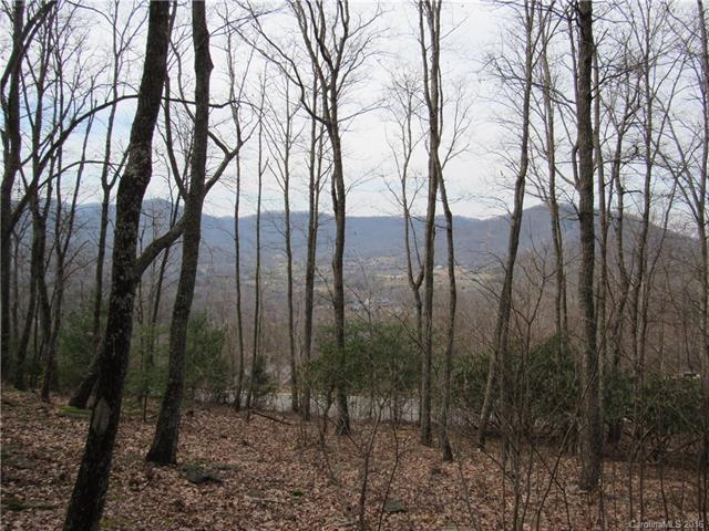 290 Secluded Hills Lane - Photo 1