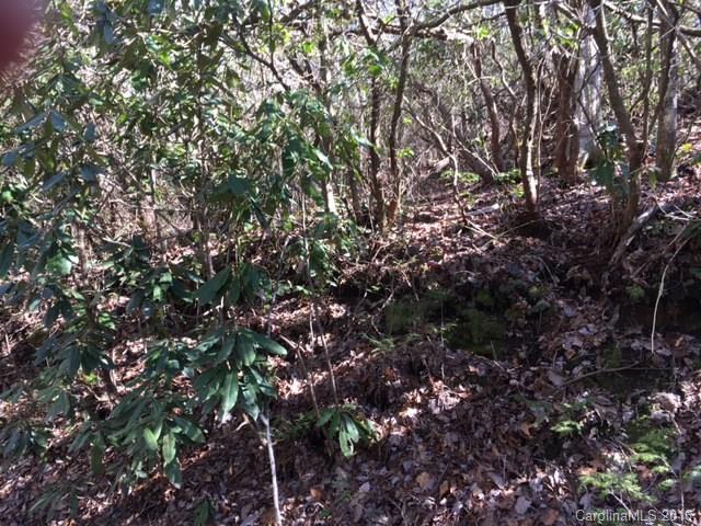 3 Oriole Road - Photo 1