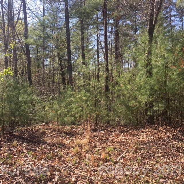 5 Log Cabin Lane - Photo 1