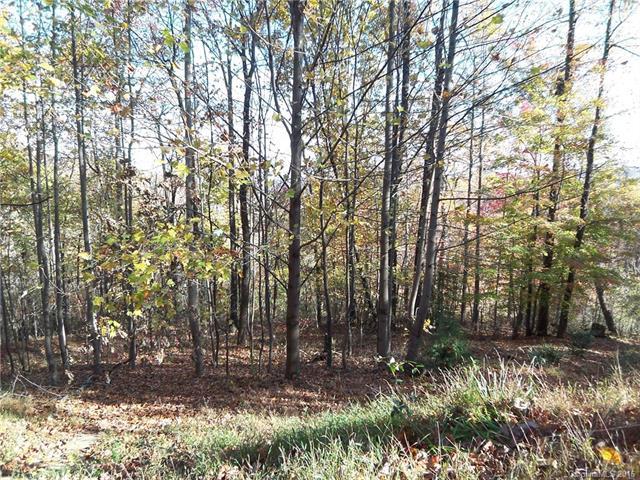 467 Gene Revis Lane - Photo 1