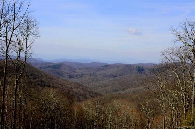 Lot 236 & 237 Hanging Rock Road - Photo 1