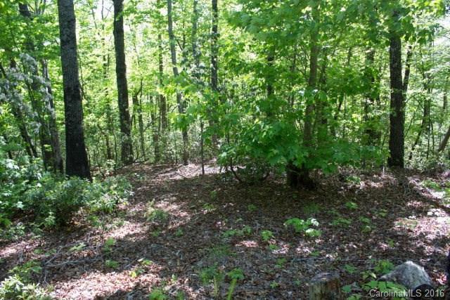 Lot 3 Echo Lane - Photo 1