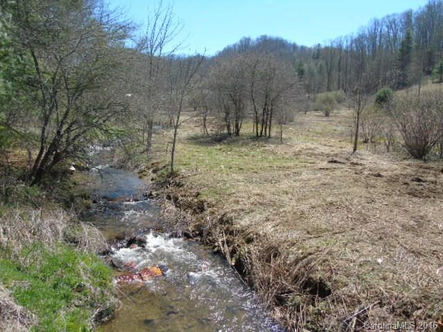 Upper Laurel Valley Road - Photo 1
