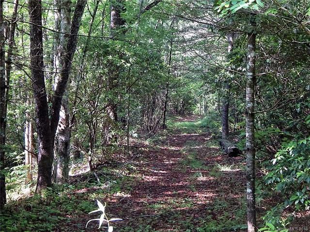 000 Fox Crossing - Photo 1 000 Fox Crossing - Photo 1
