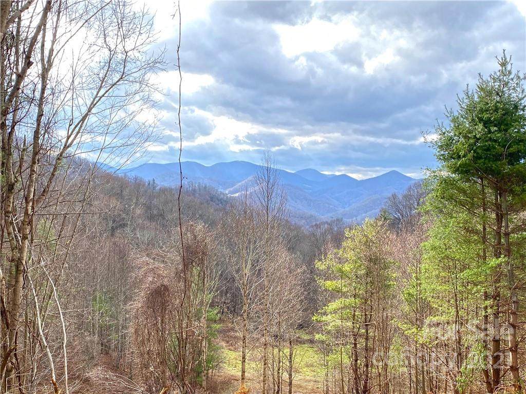999 Bee Branch Road - Photo 1