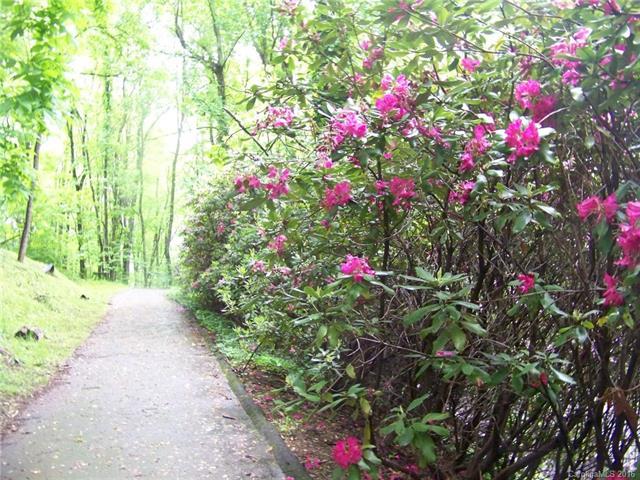 13 Honeysuckle Lane - Photo 1