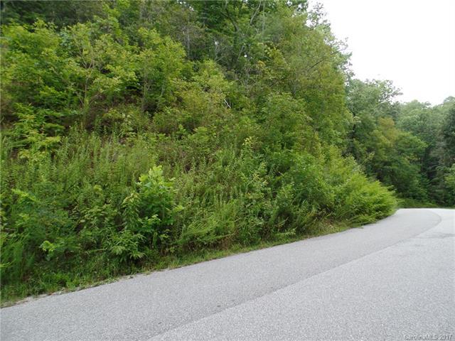 TBD Laurel Thicket Lane - Photo 1