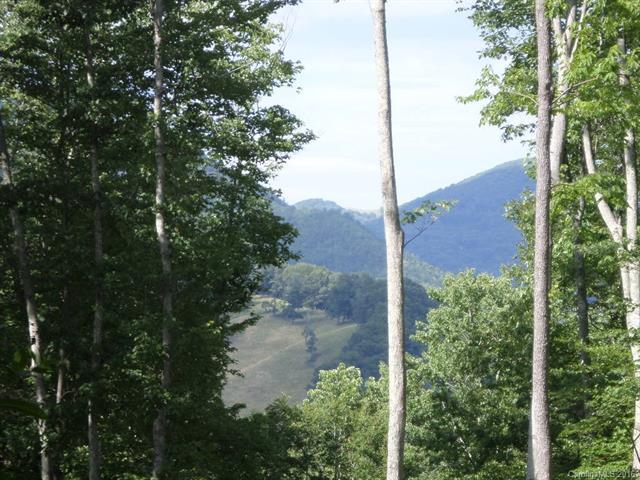 109 Tenderfoot Trail - Photo 1