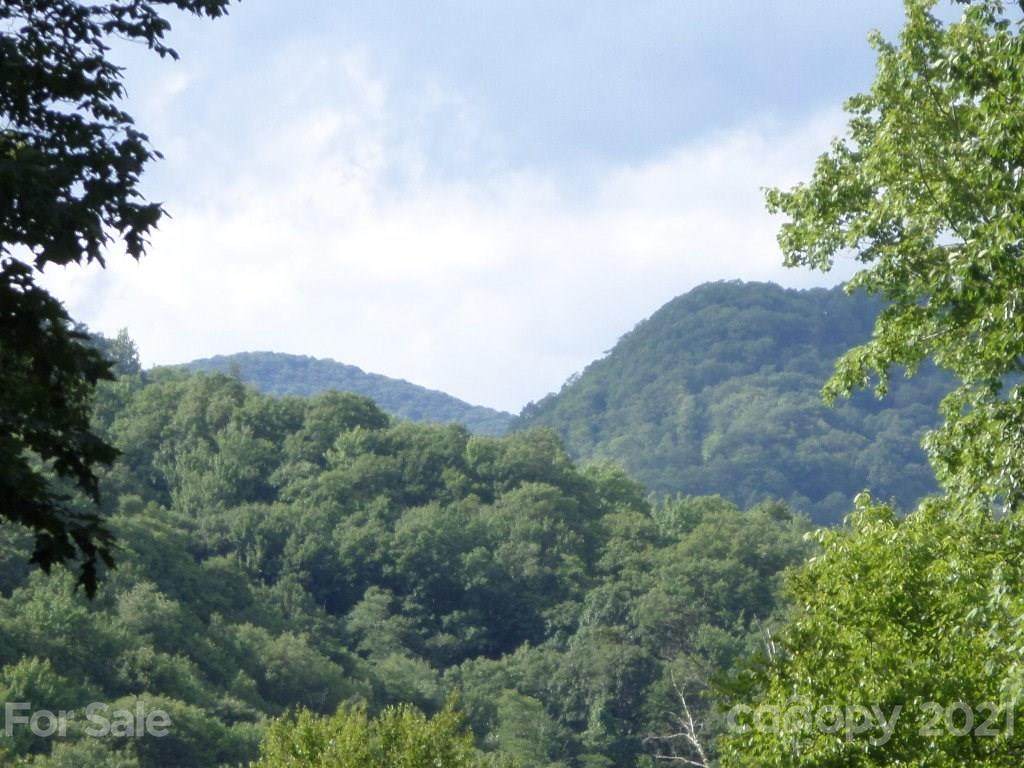 114 Tenderfoot Trail - Photo 1