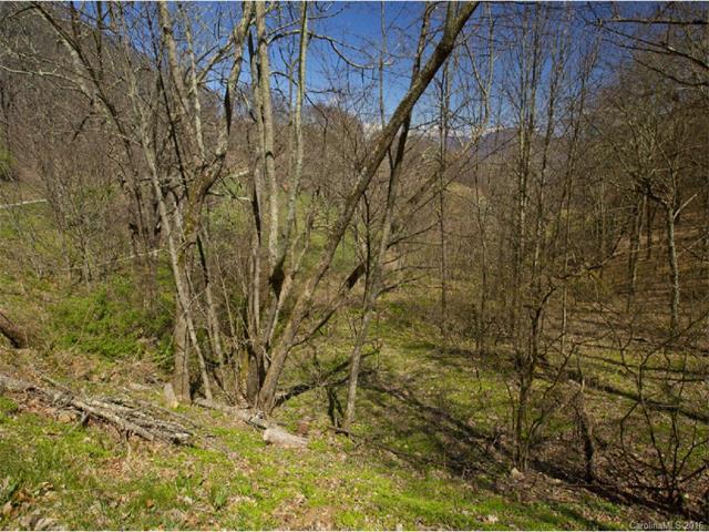 Lot #39 Sleepy Hollow Drive - Photo 1