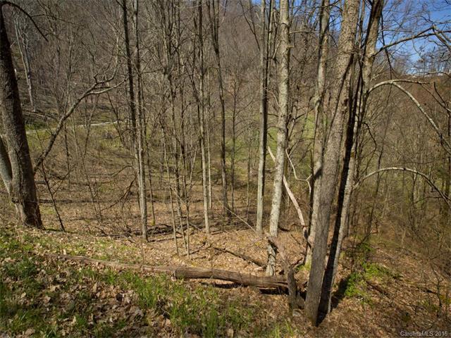 Lot #40 Sleepy Hollow Drive - Photo 1