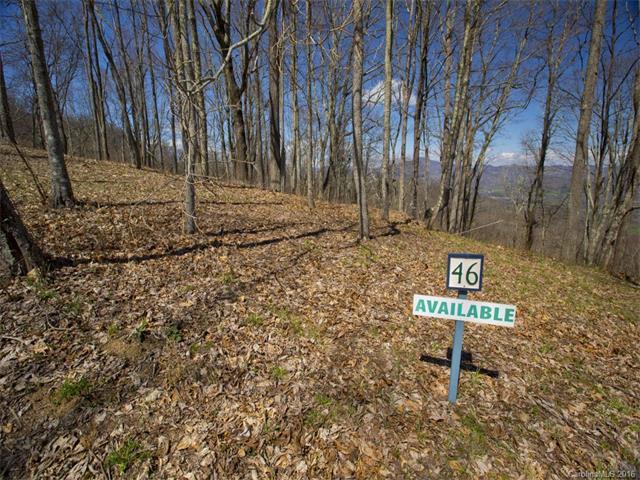 Lot #46 Sleepy Hollow Drive - Photo 1