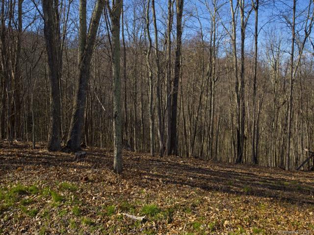 Lot #58-R Comanche Trail - Photo 1