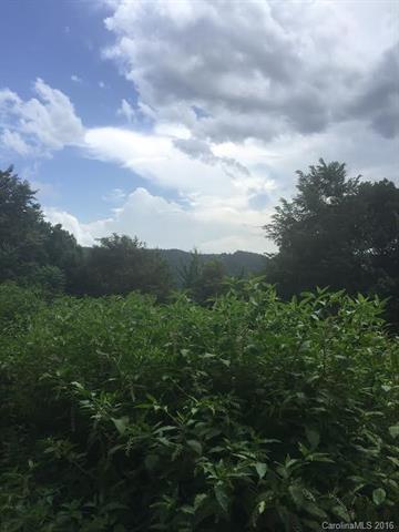 Lot 97 Catawba Falls Preserve Road - Photo 1