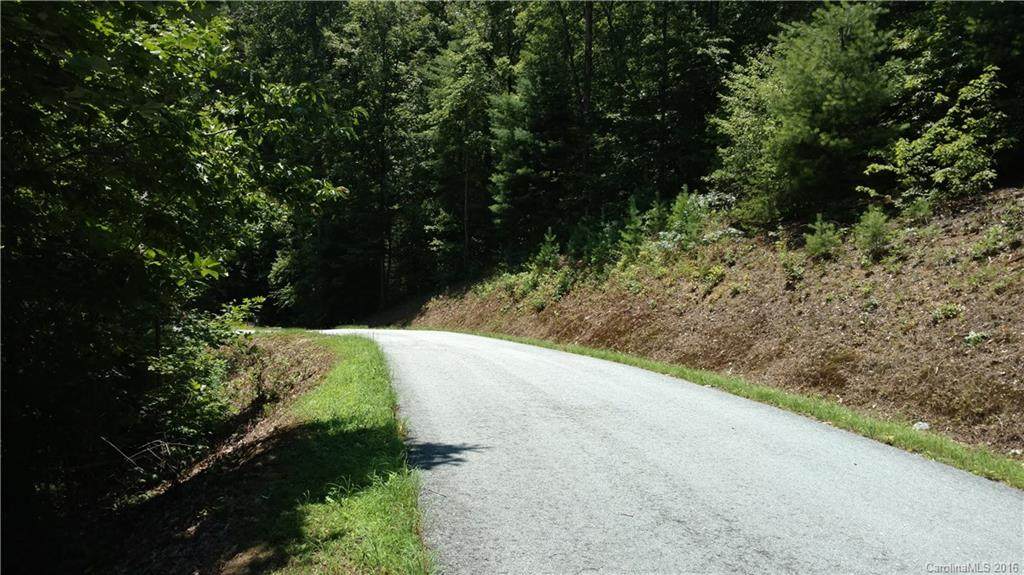 Lot 9 Silver Maple Trail - Photo 1 Lot 9 Silver Maple Trail - Photo 1